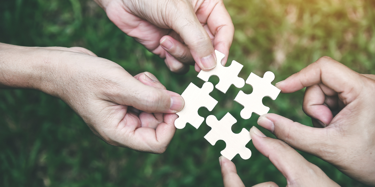 Harnessing the Power of User-Generated Content for Brand Growth
