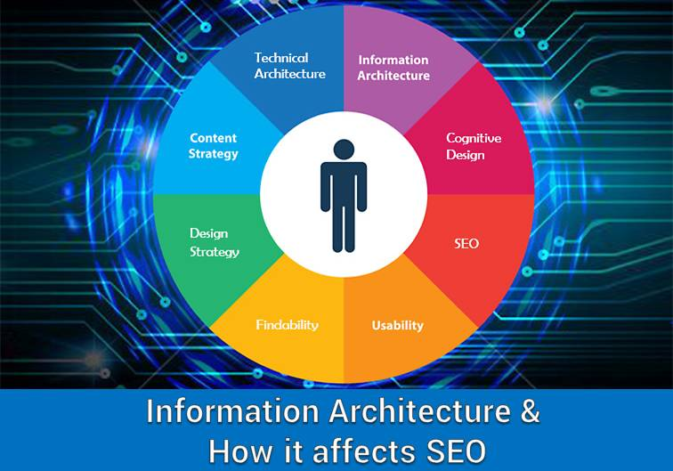  Information Architecture