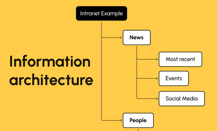  Information Architecture
